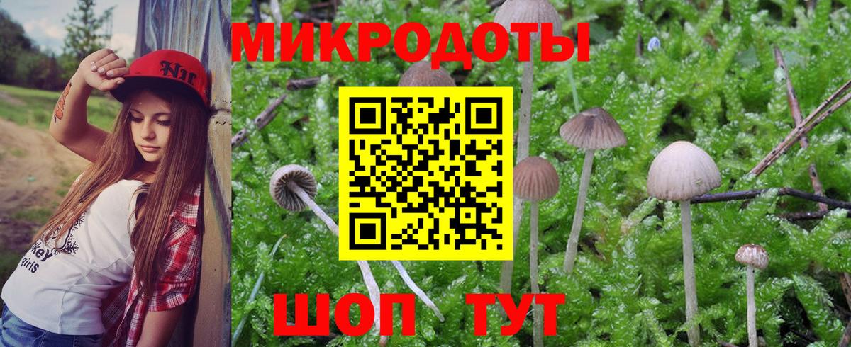 Галлюциногенные грибы мухоморы  Вход с VPN  Домодедово 